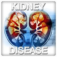 VA Disability Ratings Kidney Disease